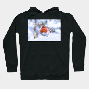 Robin in Snow Hoodie